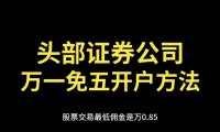 炒股哪个证券公司开户好(买股票哪个证券公司开户好)