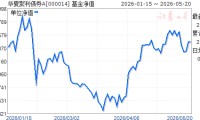 000041基金今天净值(000041基金今天净值200008)