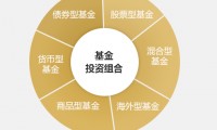 PE基金(PE基金上市退出首选)