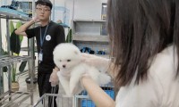 福州购宠避坑实录｜实测仓山宠舍，拒绝花钱买星期宠