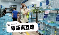 福州购宠实地测评｜伴西西猫舍犬舍双门店深度打分，潮湿城市买狗参考