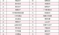 私募投资基金(私募投资基金登记备案办法)