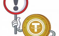 armyusdt(arm原理及技术目录)