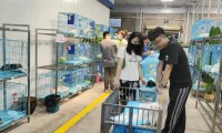福州买宠别乱蹲！仓山这家实体猫犬舍，真心靠谱不踩坑
