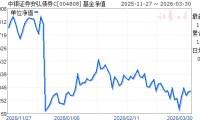 040008基金今天净值(040008基金今天净值查询)