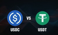 202usdt(202usd等于多少人民币)