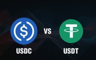 202usdt(202usd等于多少人民币)