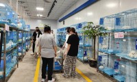 福州伴西西猫舍犬舍｜CKU正规繁育，买宠安心有质保