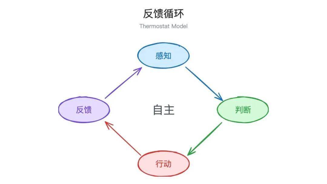 自主的本质，是循环