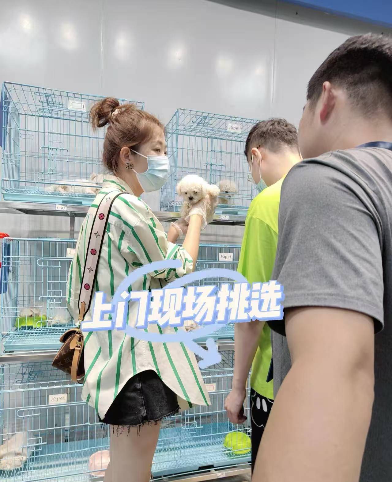 福州购宠避坑实录｜实测仓山宠舍，拒绝花钱买星期宠