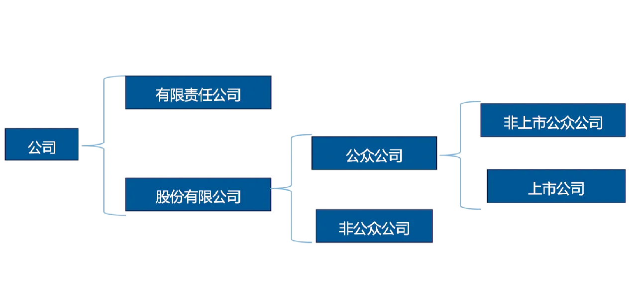 证券的形式(证券的几种类型)