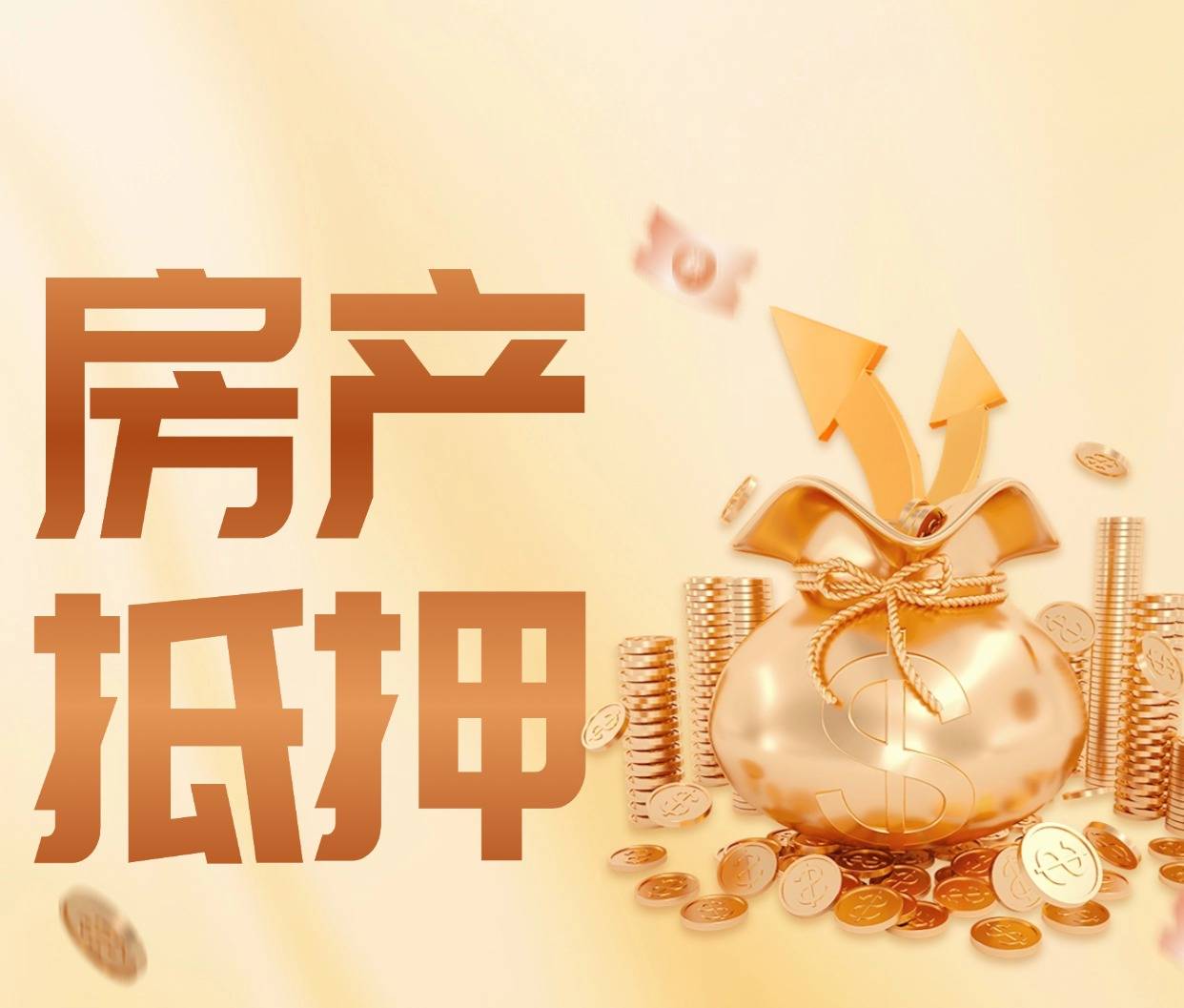 抵押证券化(证券化抵押市场)