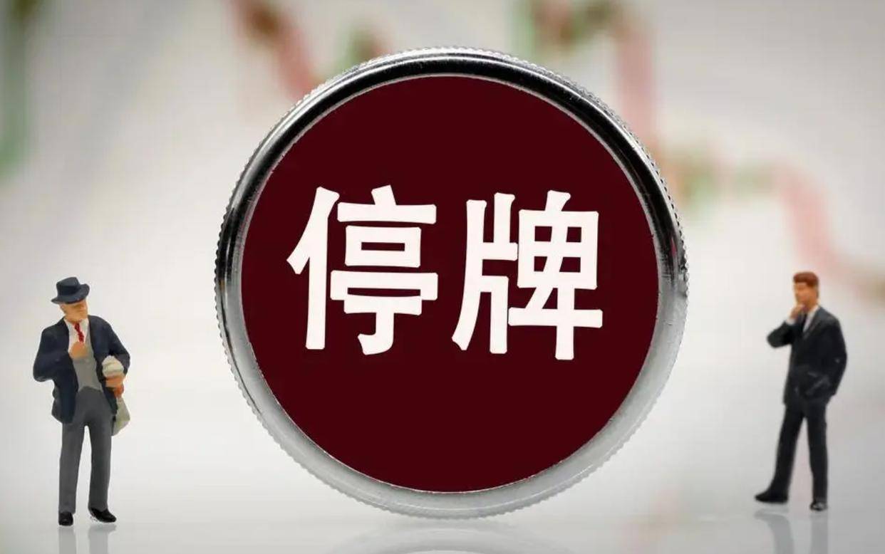 证券停牌(证券停牌的是哪只股票)